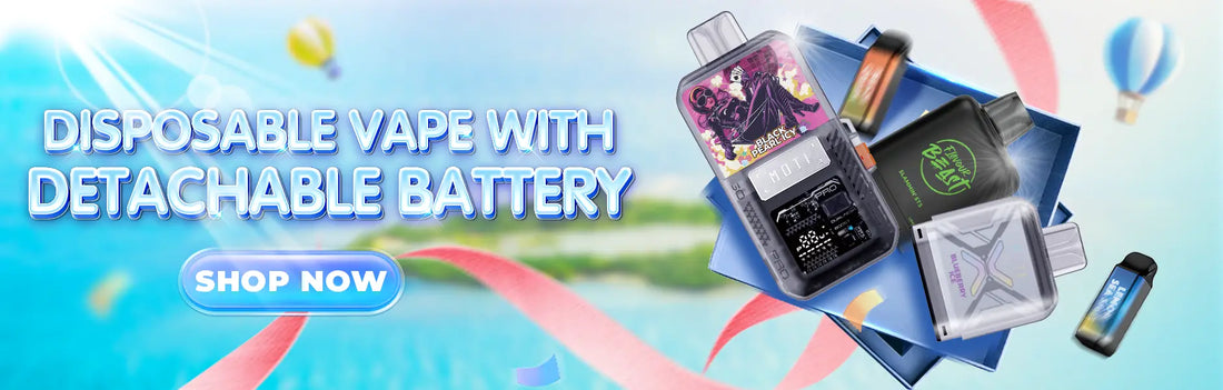 Disposable Vape with Detachable Battery