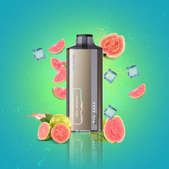 Guava Ice Bang B2 Disposable Vape - VapeBest
