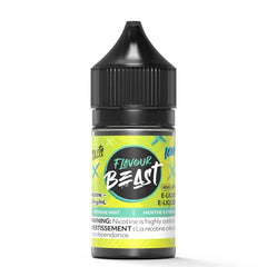 Extreme Mint Iced - Flavour Beast E-Liquid Salt 30ML' - VapeBest