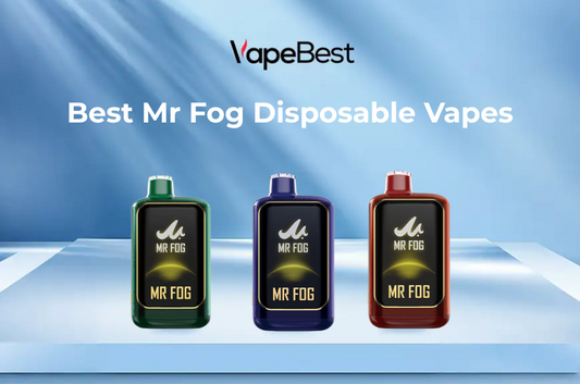 REVIEW: Mr Fog NOVA 36K Disposable