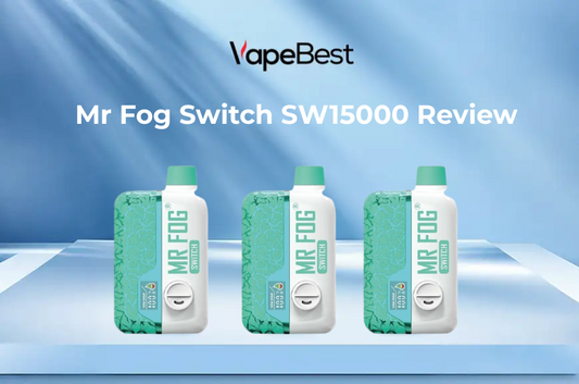 Mr Fog Switch SW15000