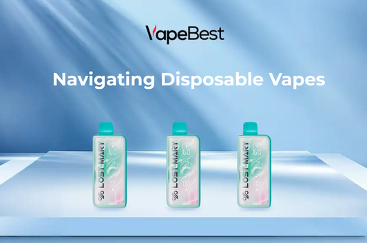 Navigating Disposable Vapes