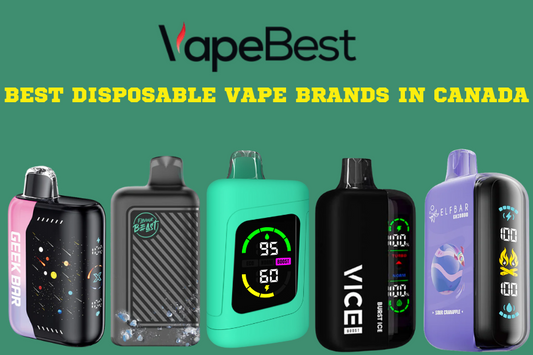 what are the best disposable vape brands