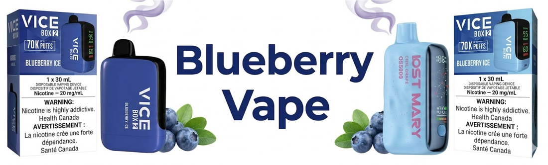 Blueberry Disposable Vape Canada Blueberry Ice & More | VapeBest Blueberry Disposable Vape Canada Blueberry Ice & More | VapeBest