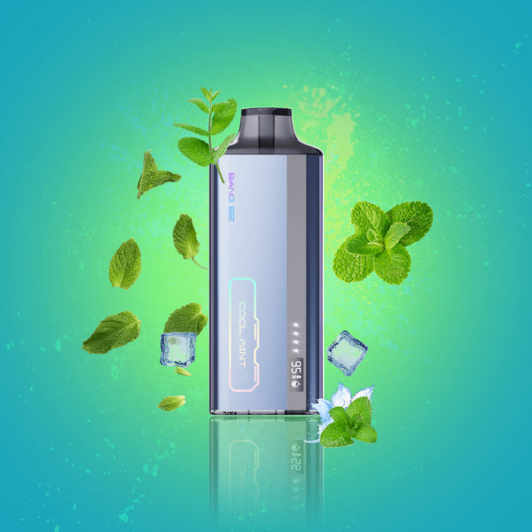 Cool Mint Bang B2 Disposable Vape - VapeBest Canada