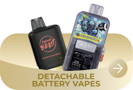 Buy Vapes Online Canada | VapeBest Disposables, Pods & Kits Buy Vapes Online Canada | VapeBest Disposables, Pods & Kits