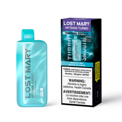 Morocco Mint Flavour Lost Mary MT15000 Turbo Disposable Vape